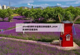 2024欧洲杯分组情况表格图片,2024欧洲杯百度百科