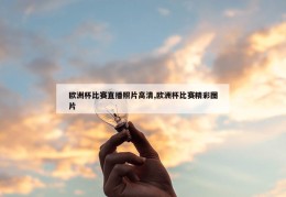 欧洲杯比赛直播照片高清,欧洲杯比赛精彩图片