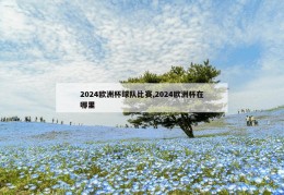 2024欧洲杯球队比赛,2024欧洲杯在哪里