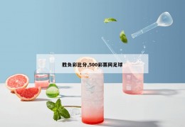 胜负彩比分,500彩票网足球