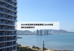 2024年欧洲杯在哪里踢球,2024年欧洲杯在哪里举行