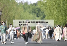 我想看2024欧洲杯比赛,欧洲杯2024在哪个国家