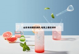 山东有线看欧洲杯,电视上看欧洲杯