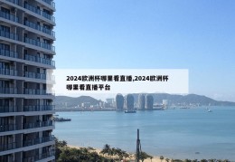 2024欧洲杯哪里看直播,2024欧洲杯哪里看直播平台