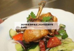 2024年欧洲杯地点,2024年欧洲杯举办城市