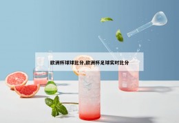 欧洲杯球球比分,欧洲杯足球实时比分