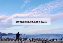 欧洲杯比赛用什么软件,欧洲杯用什么app