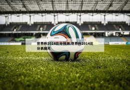 世界杯2014比分预测,世界杯2014比分表图片