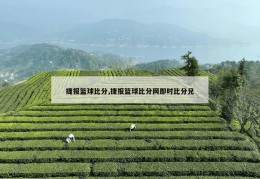 捷报篮球比分,捷报篮球比分网即时比分兄