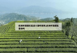 欧洲杯德国队能进八强吗视频,欧洲杯德国能晋级吗