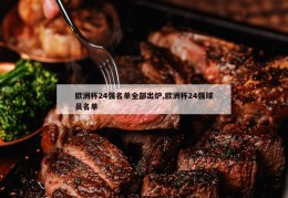 欧洲杯24强名单全部出炉,欧洲杯24强球员名单