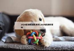 2024欧洲杯训练用球,2024欧洲杯球场