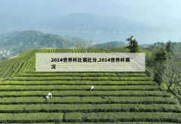 2014世界杯比赛比分,2014世界杯赛况