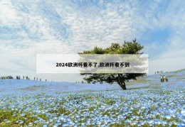 2024欧洲杯看不了,欧洲杯看不到