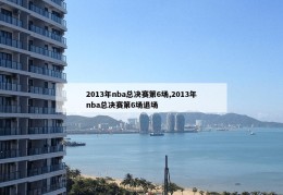 2013年nba总决赛第6场,2013年nba总决赛第6场退场