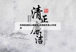 丹麦欧洲杯11号球员,欧洲杯丹麦12号球员