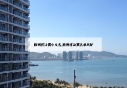 欧洲杯决赛中文名,欧洲杯决赛名单出炉