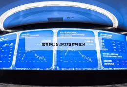 世界杯比分,2023世界杯比分