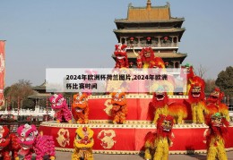 2024年欧洲杯荷兰图片,2024年欧洲杯比赛时间