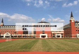 欧洲杯2024哪里买球,欧洲杯2020哪里买